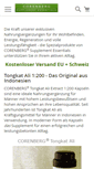 Mobile Screenshot of corenberg.com